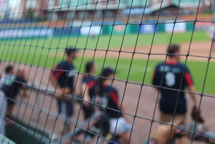 网球赛场焦点！阿根廷队对阵美国队，体能极限考验，赛场硬仗一触即发